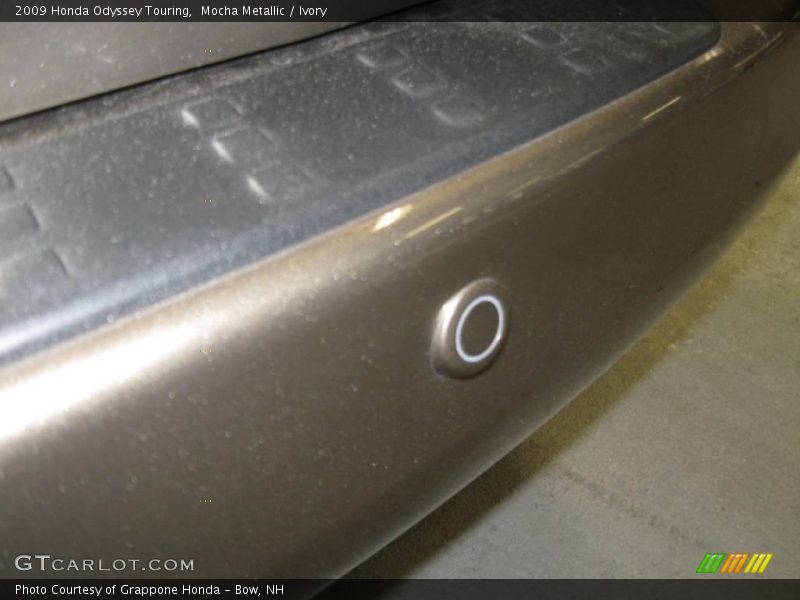 Mocha Metallic / Ivory 2009 Honda Odyssey Touring