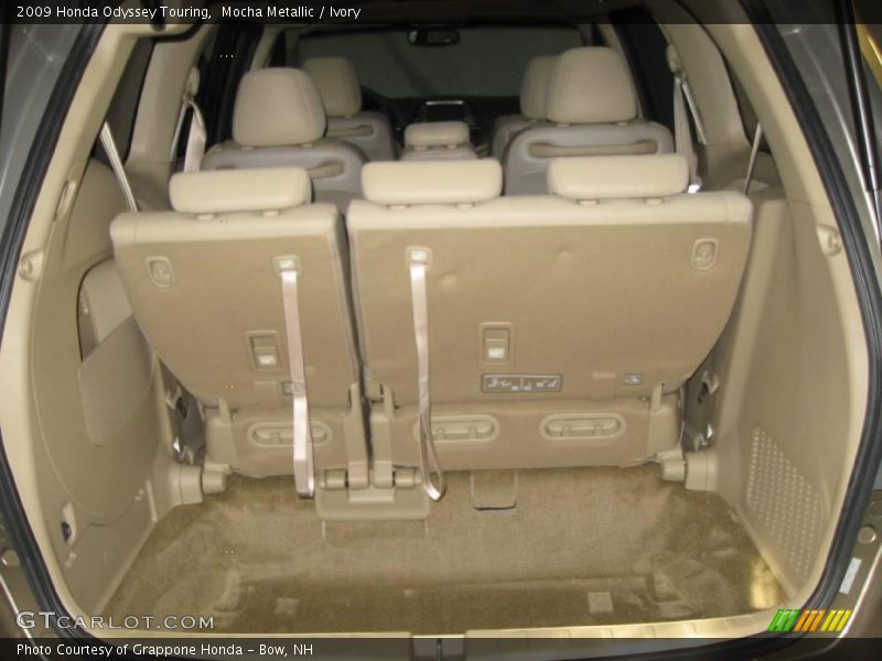 Mocha Metallic / Ivory 2009 Honda Odyssey Touring