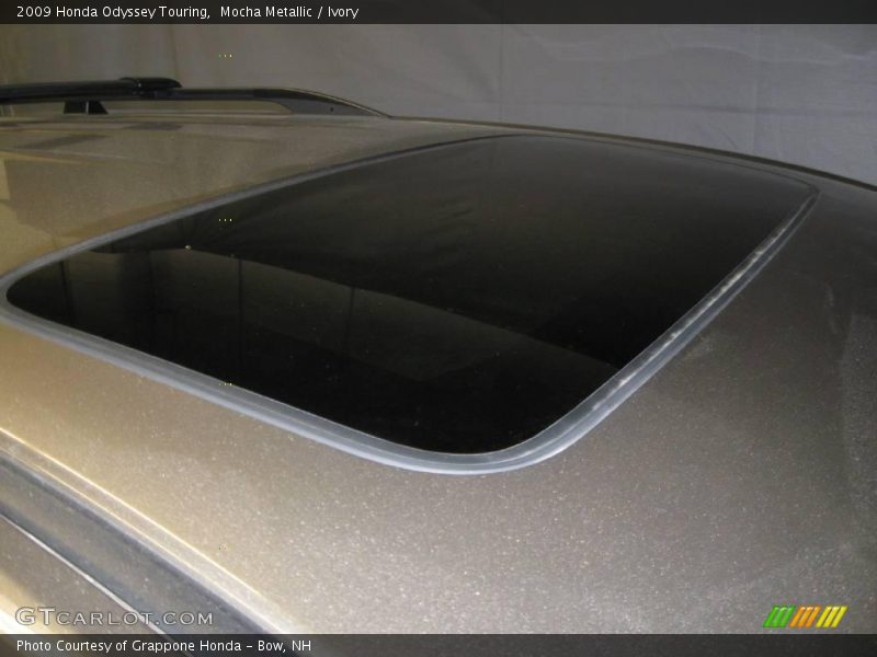 Mocha Metallic / Ivory 2009 Honda Odyssey Touring