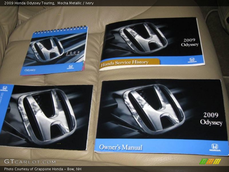 Mocha Metallic / Ivory 2009 Honda Odyssey Touring