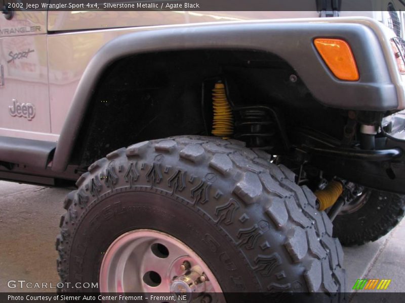 Silverstone Metallic / Agate Black 2002 Jeep Wrangler Sport 4x4