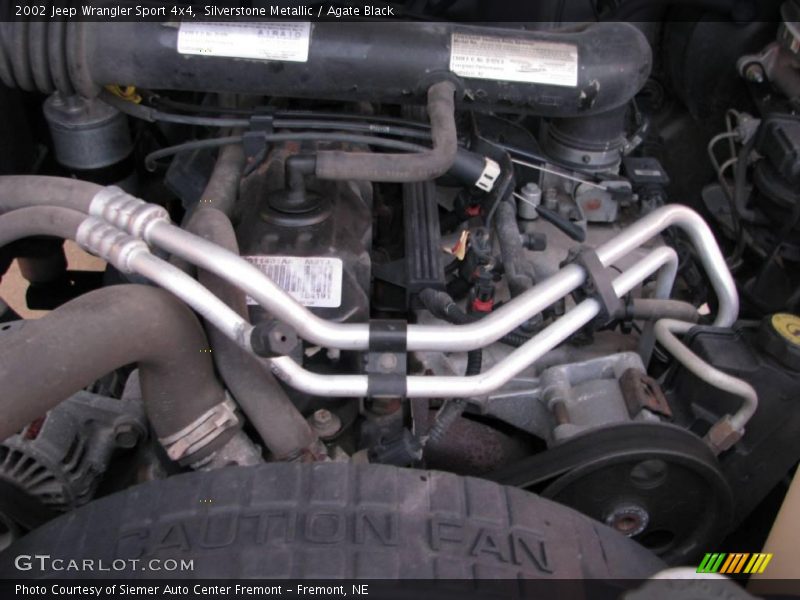 Silverstone Metallic / Agate Black 2002 Jeep Wrangler Sport 4x4