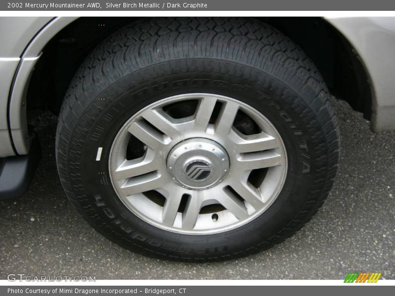 Silver Birch Metallic / Dark Graphite 2002 Mercury Mountaineer AWD