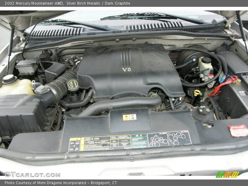 Silver Birch Metallic / Dark Graphite 2002 Mercury Mountaineer AWD