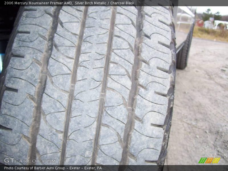 Silver Birch Metallic / Charcoal Black 2006 Mercury Mountaineer Premier AWD