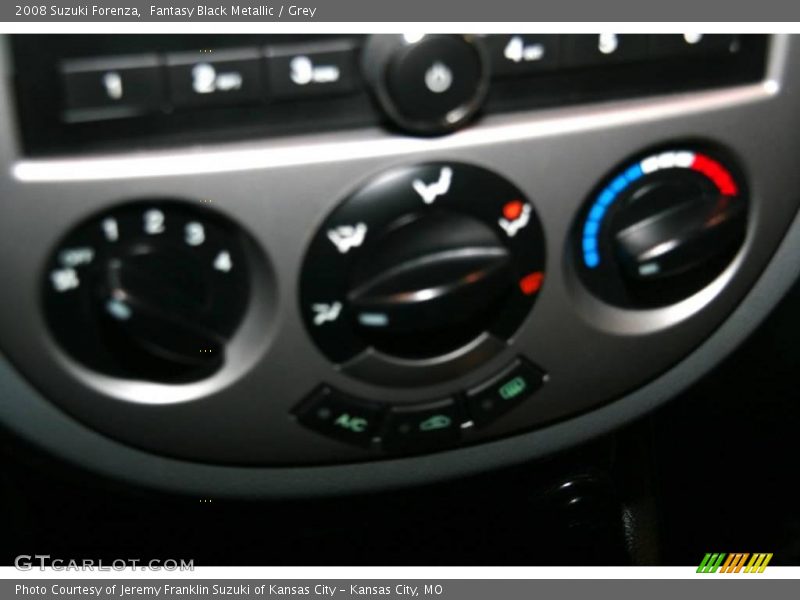 Fantasy Black Metallic / Grey 2008 Suzuki Forenza