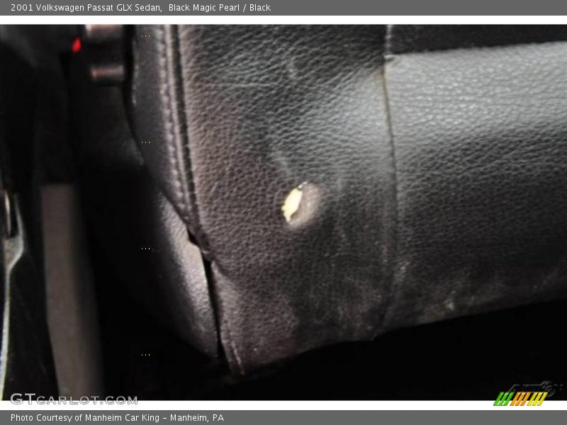 Black Magic Pearl / Black 2001 Volkswagen Passat GLX Sedan