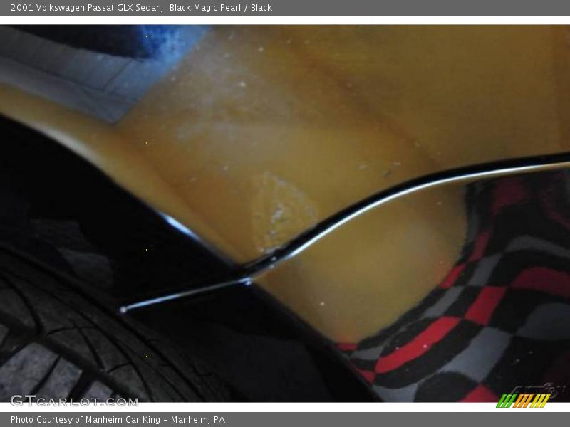 Black Magic Pearl / Black 2001 Volkswagen Passat GLX Sedan