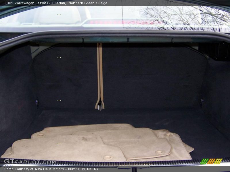 Northern Green / Beige 2005 Volkswagen Passat GLX Sedan