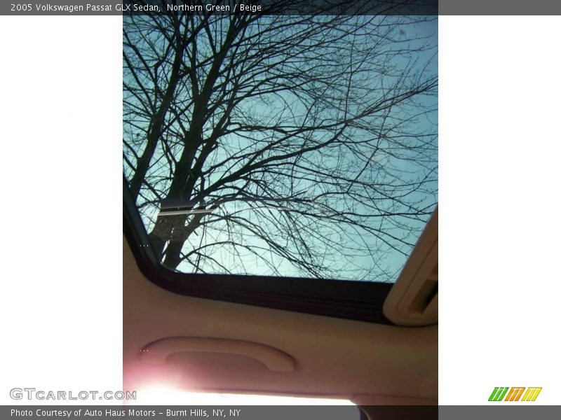 Northern Green / Beige 2005 Volkswagen Passat GLX Sedan