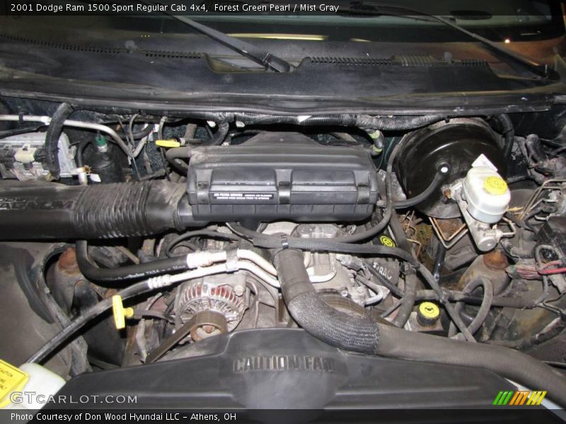 Forest Green Pearl / Mist Gray 2001 Dodge Ram 1500 Sport Regular Cab 4x4