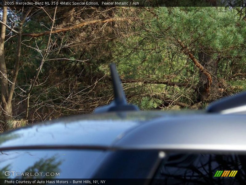 Pewter Metallic / Ash 2005 Mercedes-Benz ML 350 4Matic Special Edition