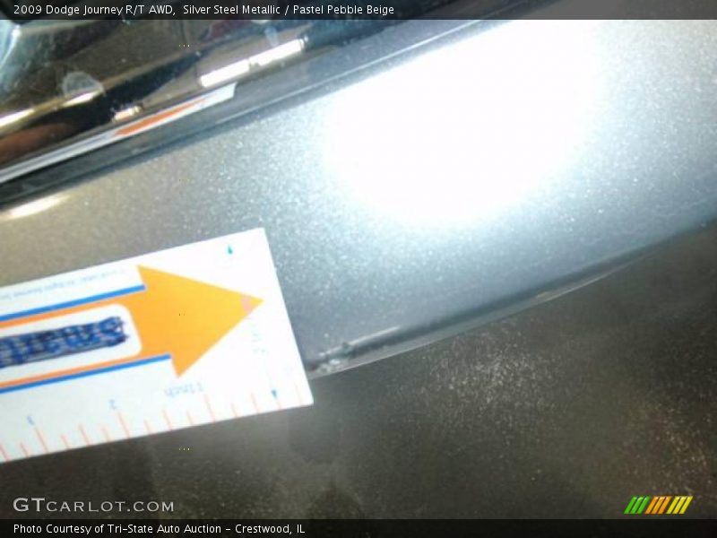 Silver Steel Metallic / Pastel Pebble Beige 2009 Dodge Journey R/T AWD