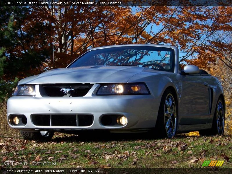 Silver Metallic / Dark Charcoal 2003 Ford Mustang Cobra Convertible
