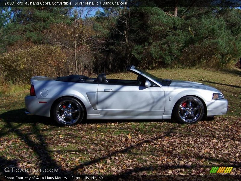 Silver Metallic / Dark Charcoal 2003 Ford Mustang Cobra Convertible