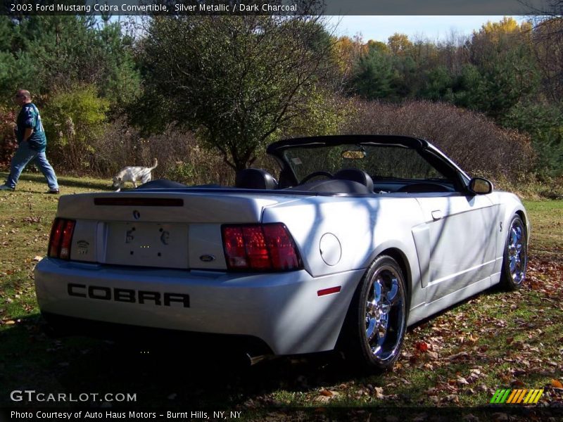 Silver Metallic / Dark Charcoal 2003 Ford Mustang Cobra Convertible