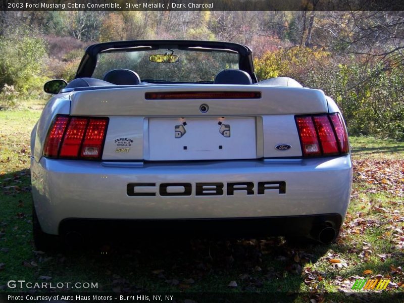 Silver Metallic / Dark Charcoal 2003 Ford Mustang Cobra Convertible