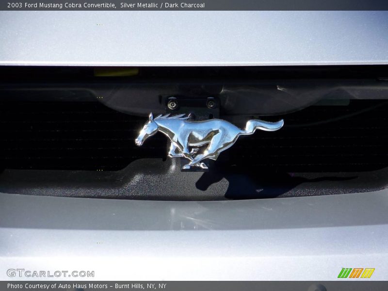 Silver Metallic / Dark Charcoal 2003 Ford Mustang Cobra Convertible