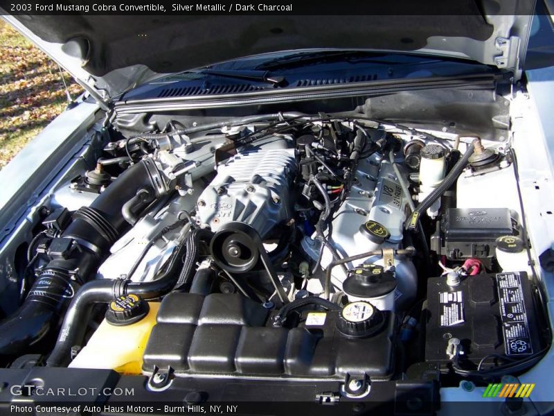 Silver Metallic / Dark Charcoal 2003 Ford Mustang Cobra Convertible