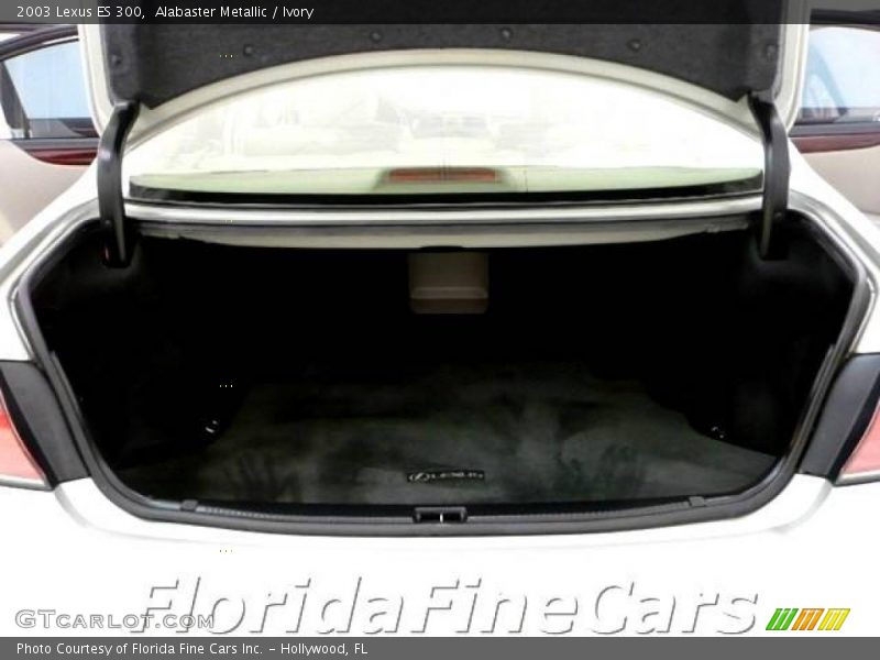 Alabaster Metallic / Ivory 2003 Lexus ES 300