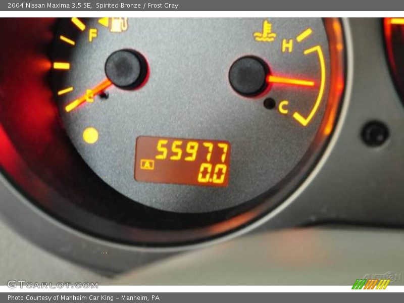 Spirited Bronze / Frost Gray 2004 Nissan Maxima 3.5 SE
