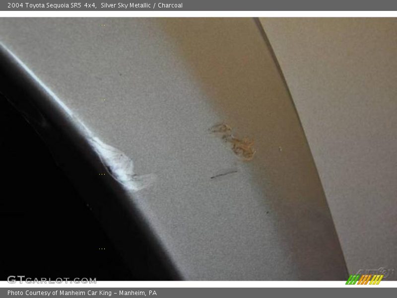 Silver Sky Metallic / Charcoal 2004 Toyota Sequoia SR5 4x4