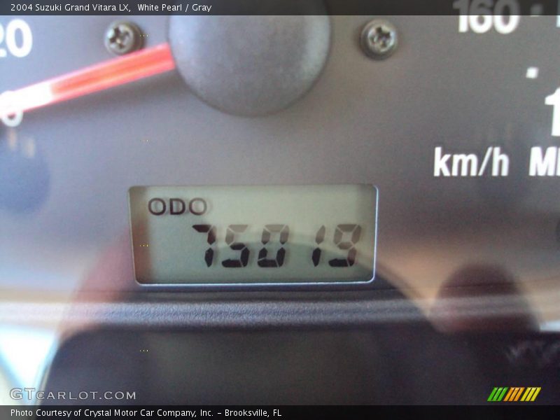 White Pearl / Gray 2004 Suzuki Grand Vitara LX
