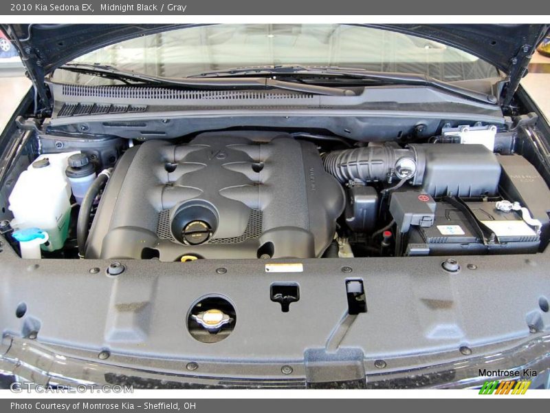 Midnight Black / Gray 2010 Kia Sedona EX