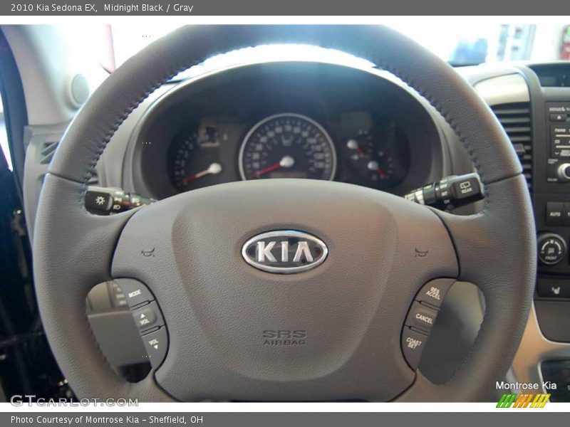 Midnight Black / Gray 2010 Kia Sedona EX