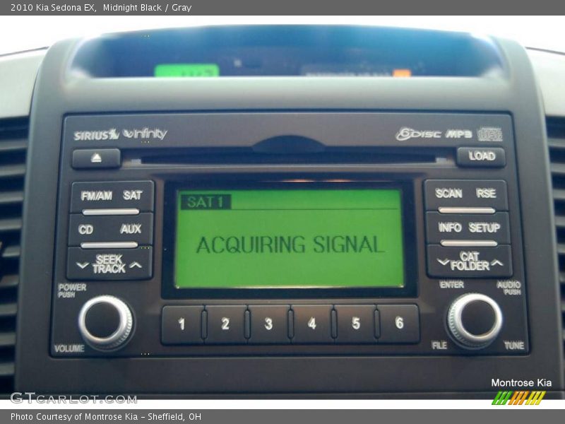 Midnight Black / Gray 2010 Kia Sedona EX