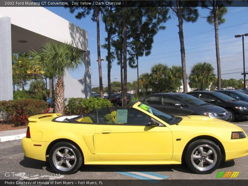 Zinc Yellow / Dark Charcoal 2002 Ford Mustang GT Convertible