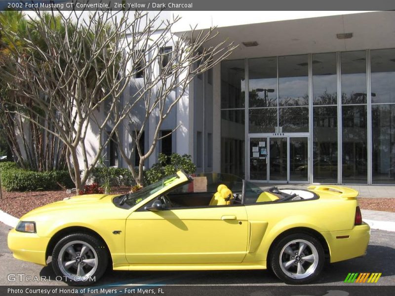 Zinc Yellow / Dark Charcoal 2002 Ford Mustang GT Convertible