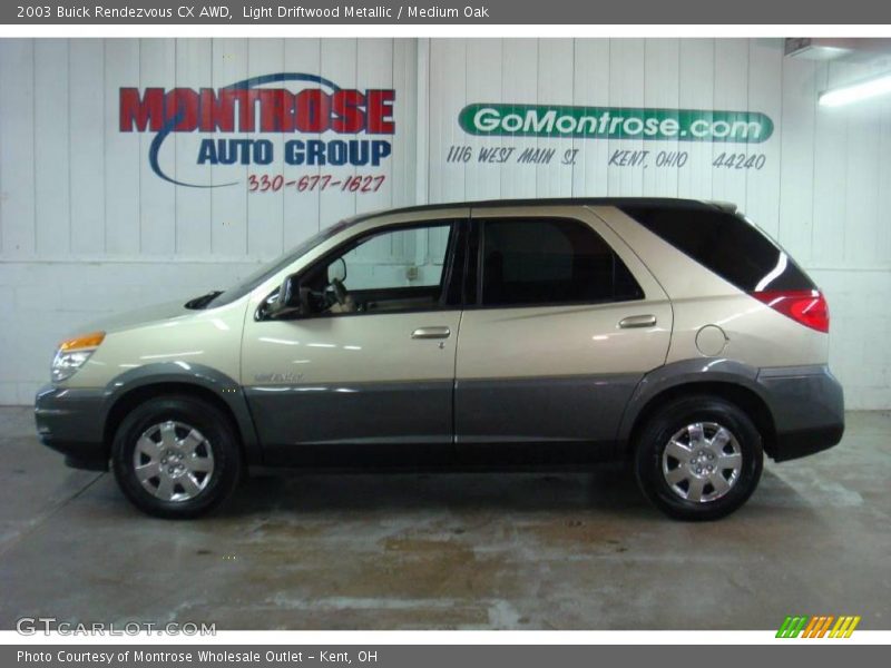 Light Driftwood Metallic / Medium Oak 2003 Buick Rendezvous CX AWD