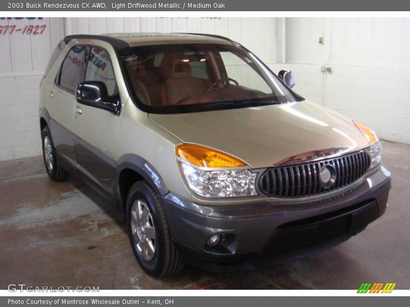 Light Driftwood Metallic / Medium Oak 2003 Buick Rendezvous CX AWD