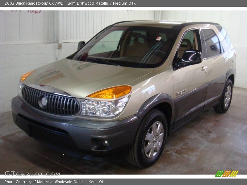 Light Driftwood Metallic / Medium Oak 2003 Buick Rendezvous CX AWD