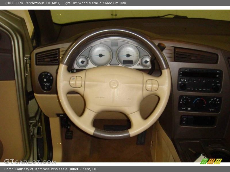 Light Driftwood Metallic / Medium Oak 2003 Buick Rendezvous CX AWD