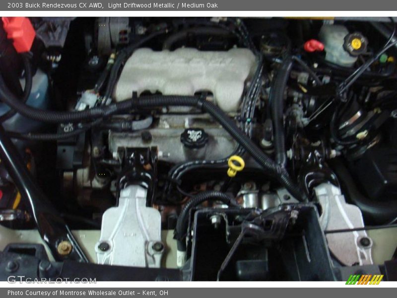 Light Driftwood Metallic / Medium Oak 2003 Buick Rendezvous CX AWD