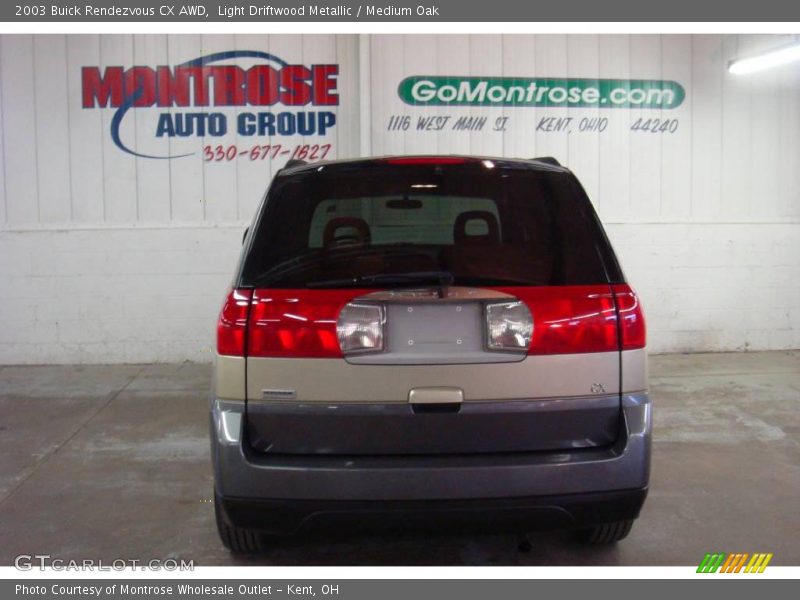 Light Driftwood Metallic / Medium Oak 2003 Buick Rendezvous CX AWD