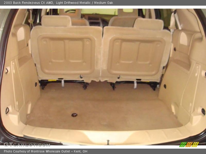Light Driftwood Metallic / Medium Oak 2003 Buick Rendezvous CX AWD