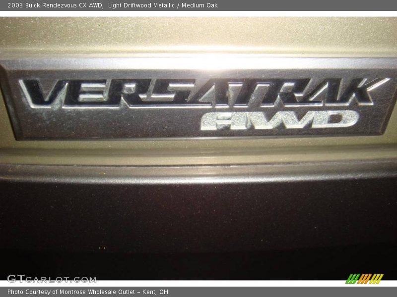 Light Driftwood Metallic / Medium Oak 2003 Buick Rendezvous CX AWD