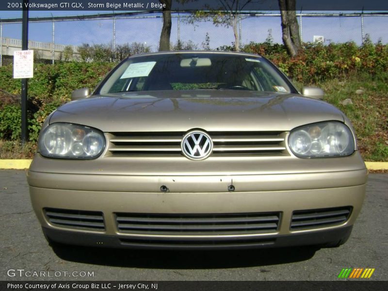 Storm Beige Metallic / Beige 2001 Volkswagen GTI GLX