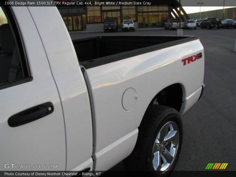 Bright White / Medium Slate Gray 2006 Dodge Ram 1500 SLT TRX Regular Cab 4x4