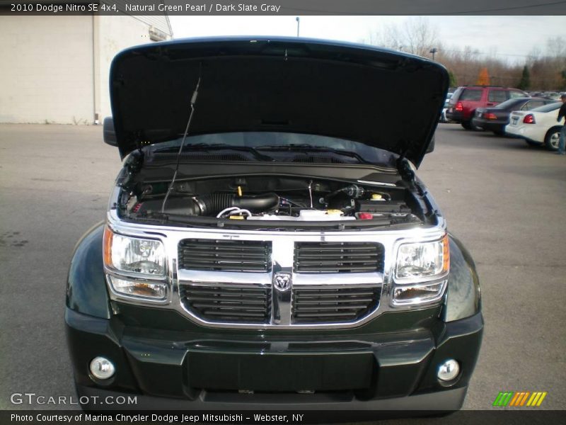 Natural Green Pearl / Dark Slate Gray 2010 Dodge Nitro SE 4x4