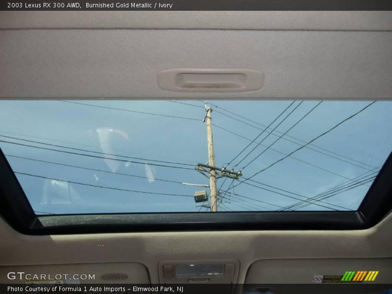 Burnished Gold Metallic / Ivory 2003 Lexus RX 300 AWD