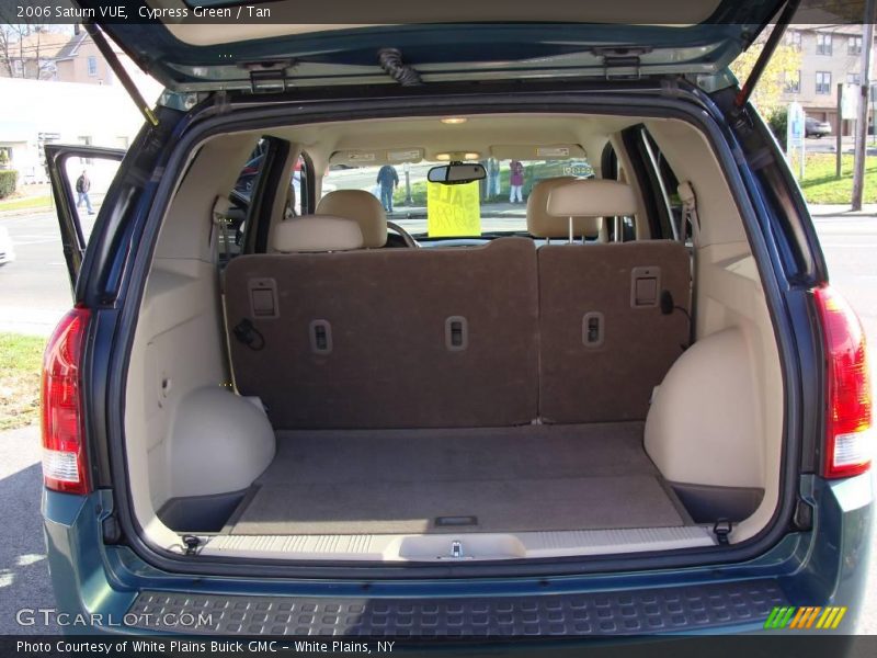 Cypress Green / Tan 2006 Saturn VUE