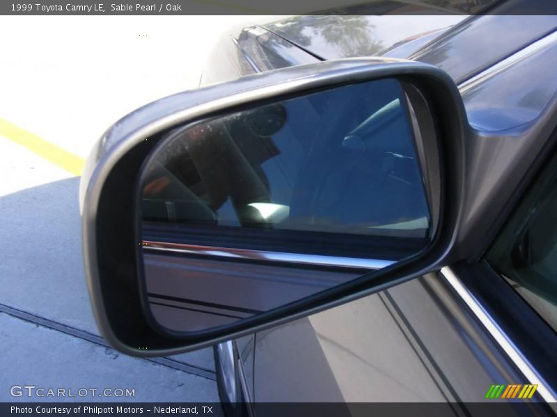 Sable Pearl / Oak 1999 Toyota Camry LE