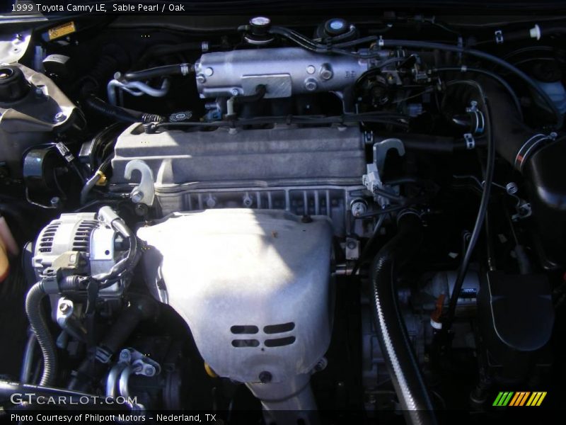 Sable Pearl / Oak 1999 Toyota Camry LE
