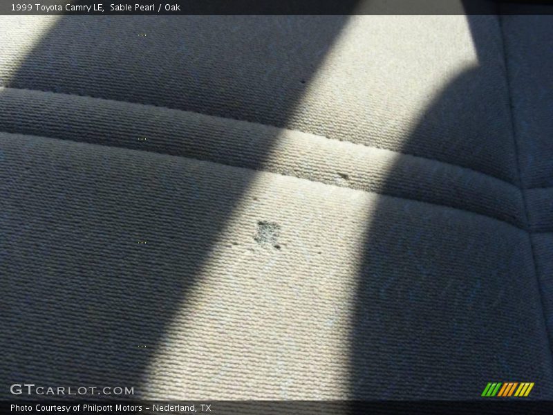 Sable Pearl / Oak 1999 Toyota Camry LE