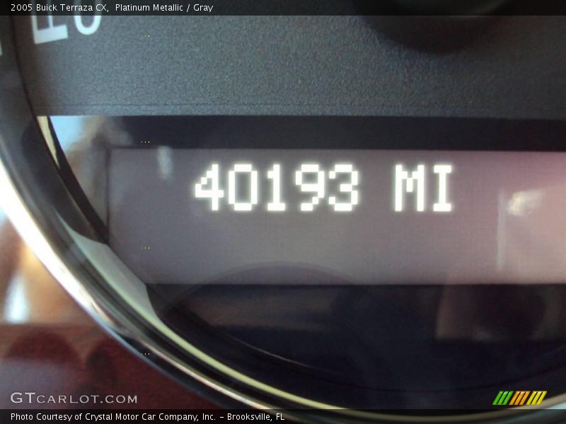 Platinum Metallic / Gray 2005 Buick Terraza CX