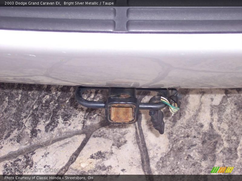 Bright Silver Metallic / Taupe 2003 Dodge Grand Caravan EX